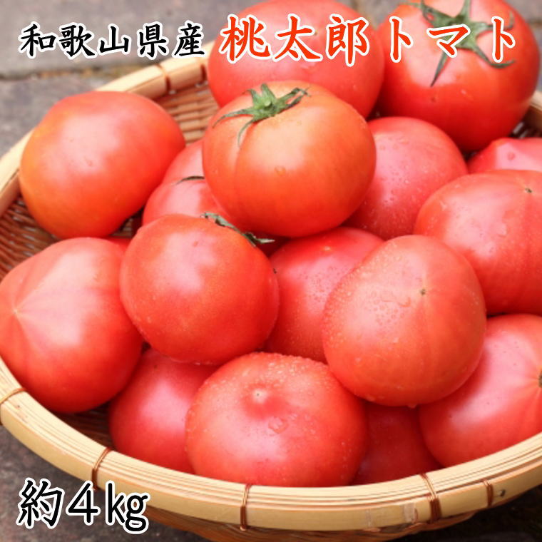 ZD6702_【新鮮】和歌山県産紀の川の桃太郎トマト約4kg(L～2Lサイズおまかせ)