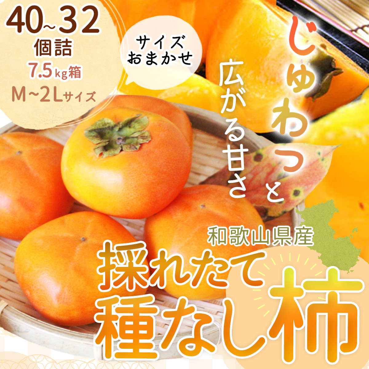 EB6013_【和歌山県産】採れたて 種なし柿 M~2Lサイズおまかせ  40~32個詰 7.5kg箱