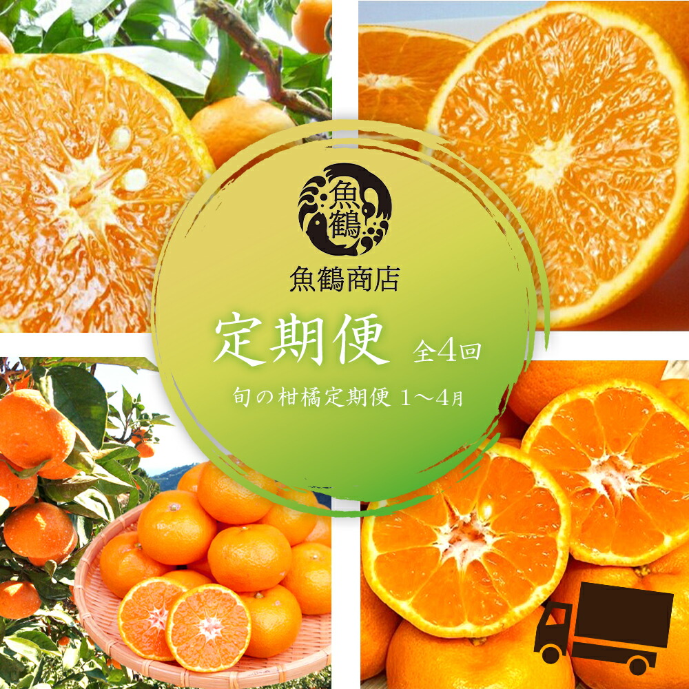 G60-T18_【定期便 全4回】旬の柑橘定期便 1～4月