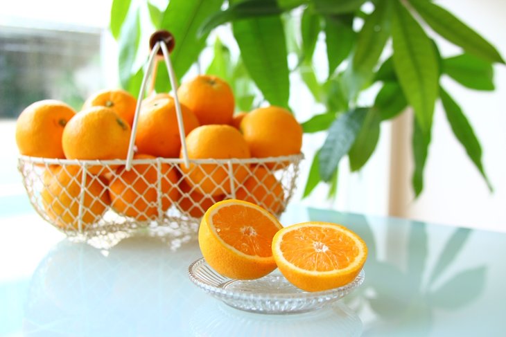 ZS6120n_【先行予約】主井農園 国産 バレンシアオレンジ（S～LLサイズ青秀おまかせ）5kg