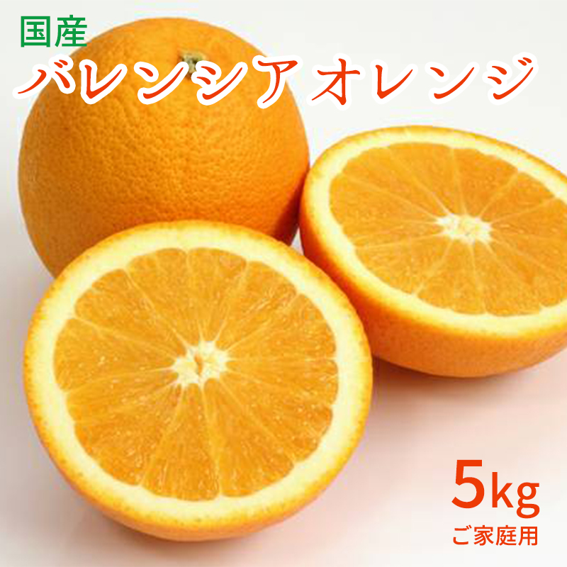 AN6103n_和歌山有田産 バレンシアオレンジ 【訳あり 家庭用】5kg (S～3Lサイズ混合)