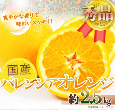 G7078_【先行予約】希少な 国産 バレンシアオレンジ 2.5kg 秀品
