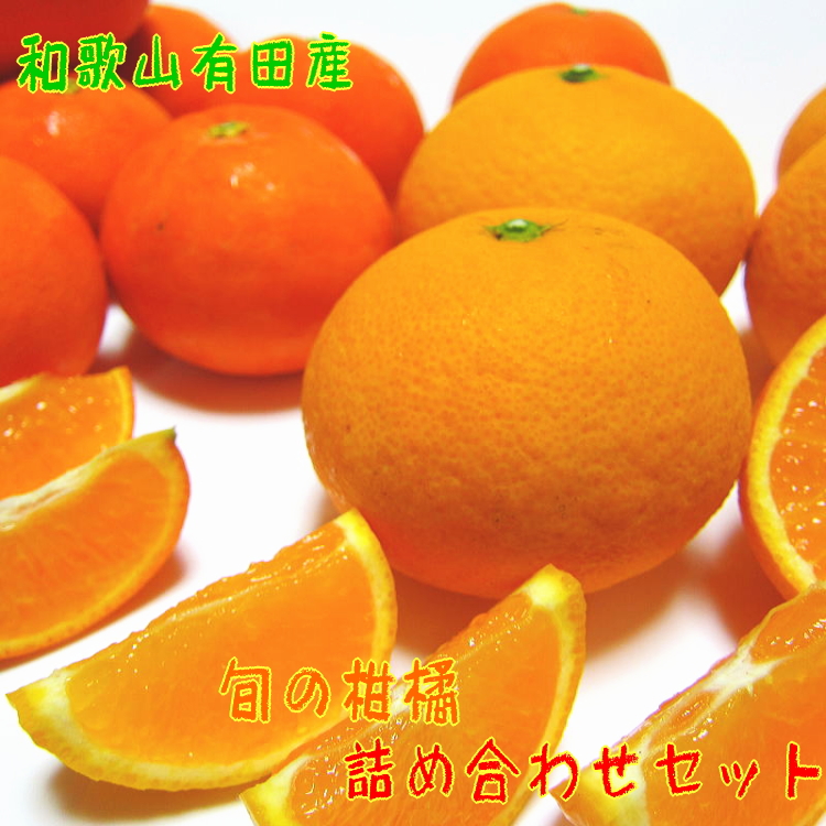 AB7059n_有田育ちの 濃厚柑橘詰め合わせセット【訳あり 家庭用】6.5kg
