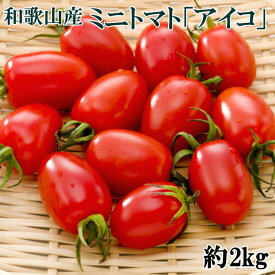 ZD6701n_和歌山産ミニトマト「アイコトマト」約2kg（S・Mサイズおまかせ）
