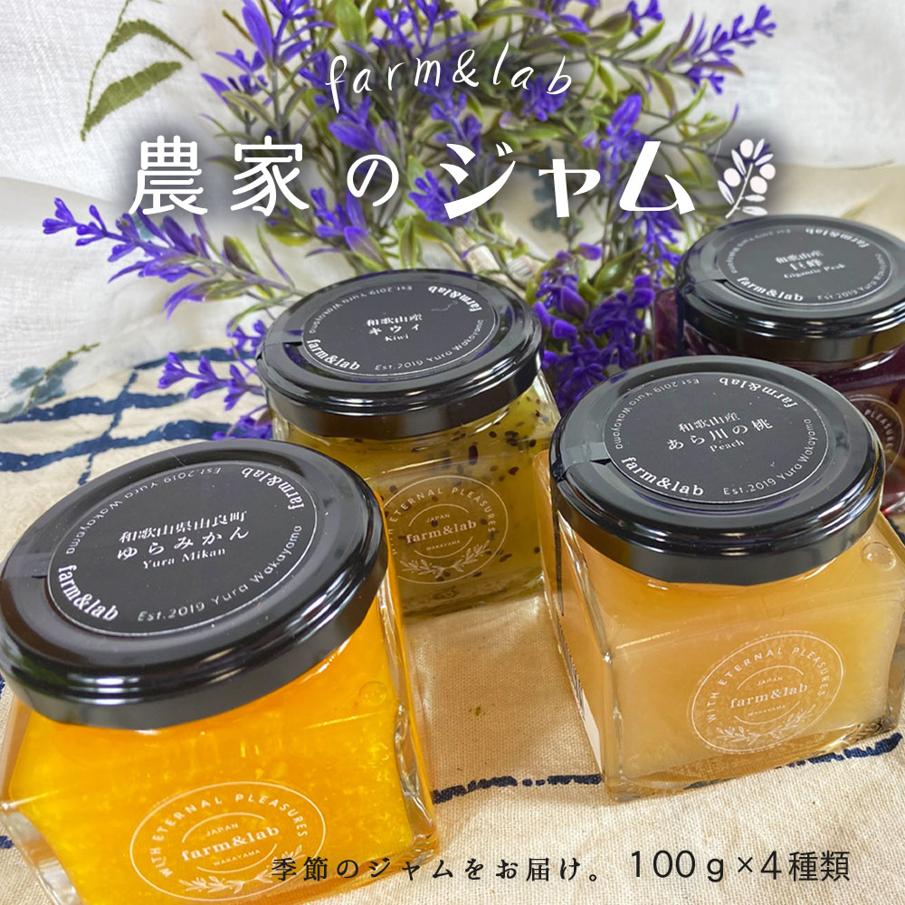 DG6011n_和歌山産 果実のジャムセット （100g×4個）