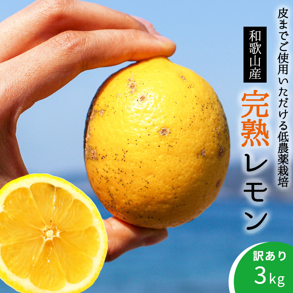 EA6022n_【訳あり・ご家庭用】完熟 レモン 3kg 皮までご使用いただける低農薬栽培!