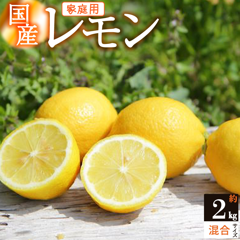 ZS6154_主井農園 国産レモン ご家庭用  2kg サイズ混合