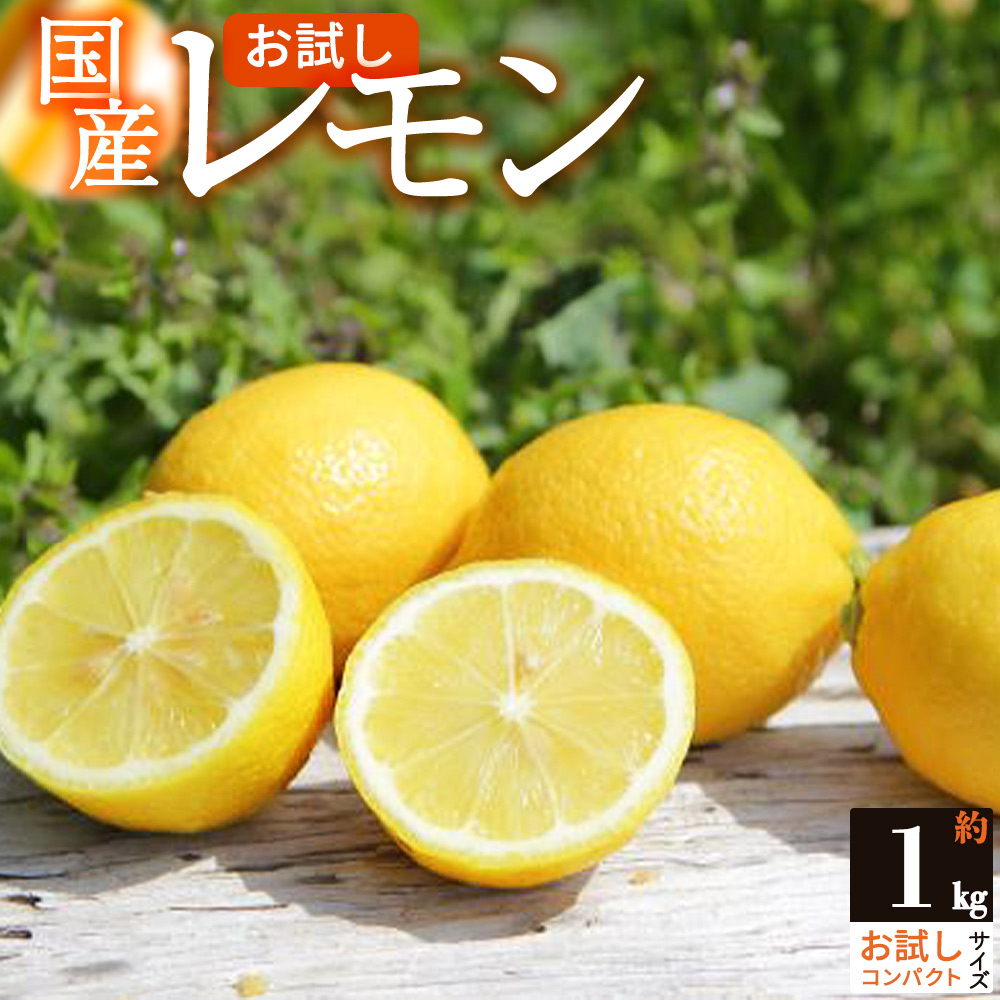 ZS6155_主井農園 国産レモン 1kg お試し用