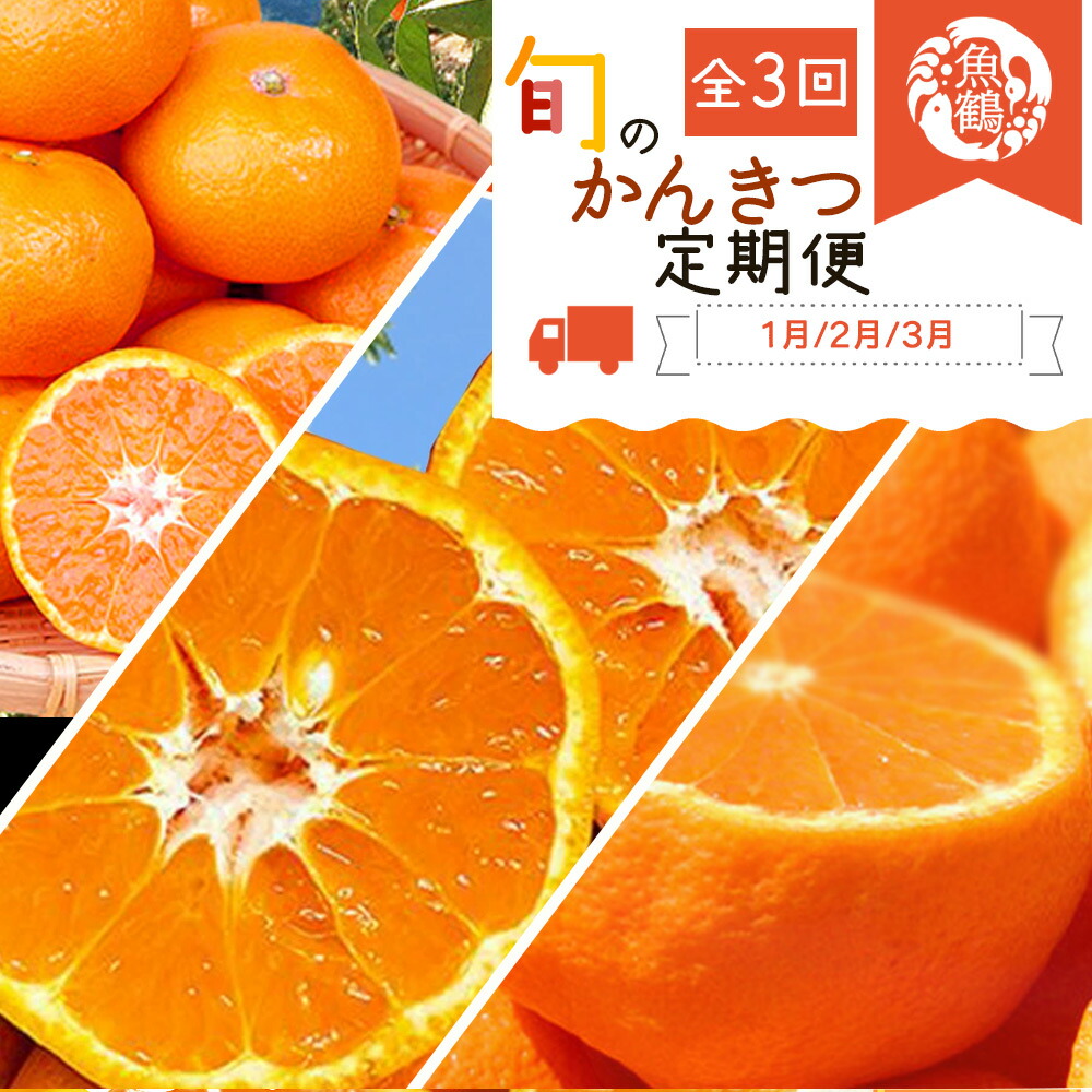 G60-T43_【定期便 全3回】紀州和歌山産旬の柑橘セット（みかん・ポンカン・紀州デコ）