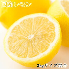 ZD6216_【産直】和歌山産 レモン 3kg (サイズ混合)