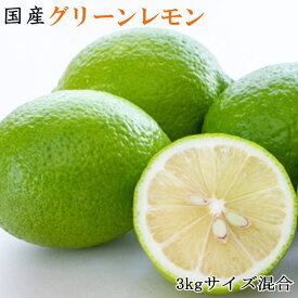 ZD6217_【産直】和歌山産グリーンレモン 約3kg（サイズ混合）