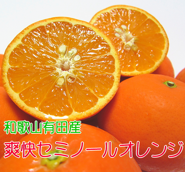 AB6060_有田育ちの爽快 セミノール オレンジ 【訳あり 家庭用】3kg