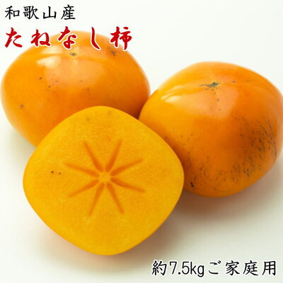 ZD6328_【秋の味覚】和歌山産の たねなし柿 ご家庭用 約7.5kg